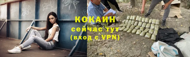 КОКАИН VHQ  как найти закладки  Белая Холуница 